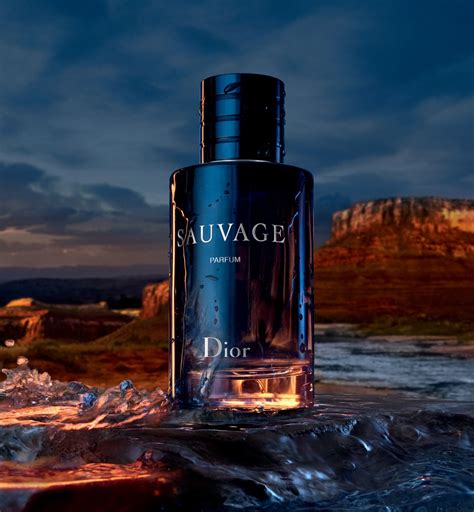 etos dior sauvage|sauvage dior fragrance.